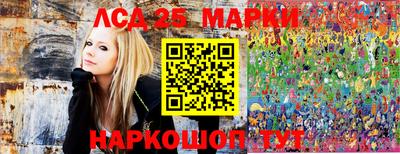 молекула духа Владимир