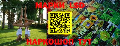 молекула духа Владимир