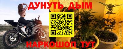 молекула духа Владимир