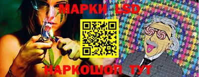 молекула духа Владимир