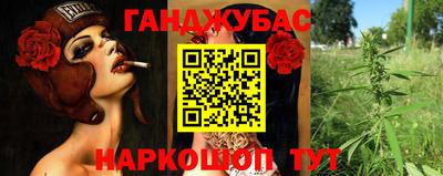 mdpv Владивосток