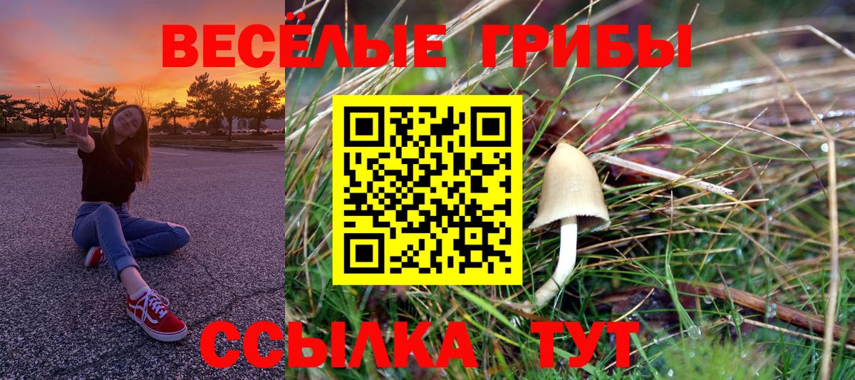 Лсд 25 Киреевск
