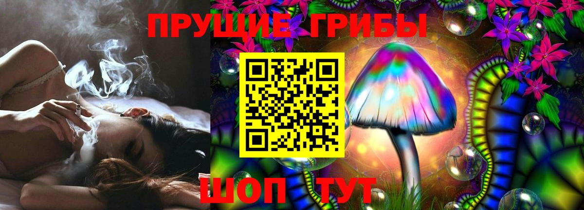 Галлюциногенные грибы Cubensis  Вход с VPN  Киреевск 
