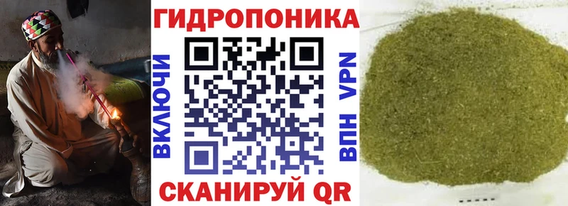 Бошки марихуана VHQ Киреевск